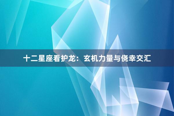 十二星座看护龙：玄机力量与侥幸交汇