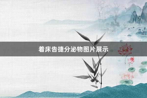 着床告捷分泌物图片展示