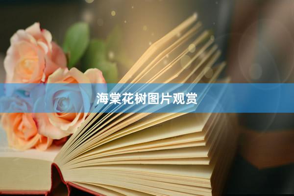 海棠花树图片观赏